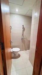 Ardmore Park (D10), Condominium #501670261